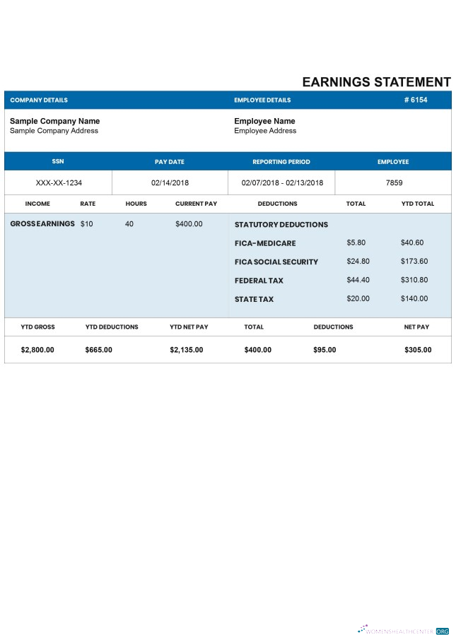 Download DARKBLUE pay stub Word and PDF template Photoshop template